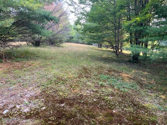 L12 Donlan Heights Road Middleburgh, NY 12122 - Photo 13 of 30 IMG_4495