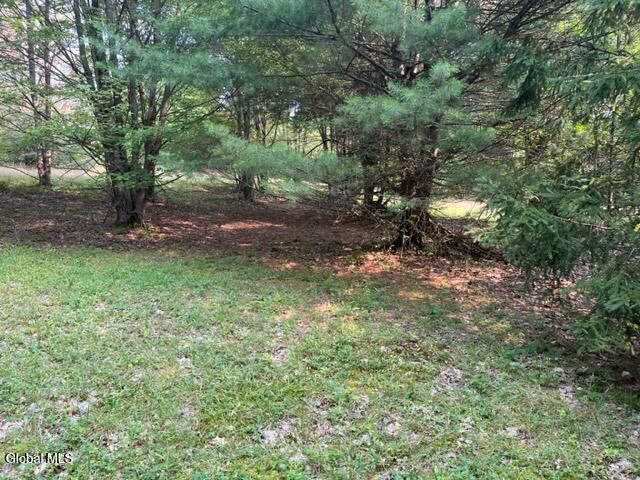 L12 Donlan Heights Road Middleburgh, NY 12122 - Photo 14 of 30 IMG_4494