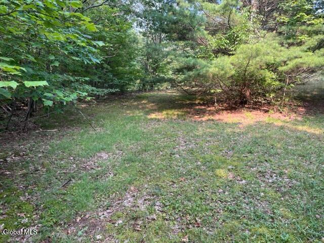 L12 Donlan Heights Road Middleburgh, NY 12122 - Photo 15 of 30 IMG_4493