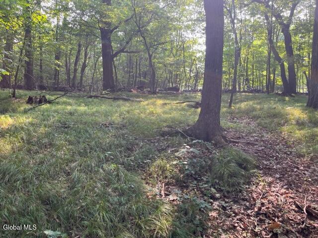 L12 Donlan Heights Road Middleburgh, NY 12122 - Photo 16 of 30 IMG_4510