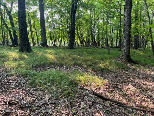 L12 Donlan Heights Road Middleburgh, NY 12122 - Photo 17 of 30 IMG_4509