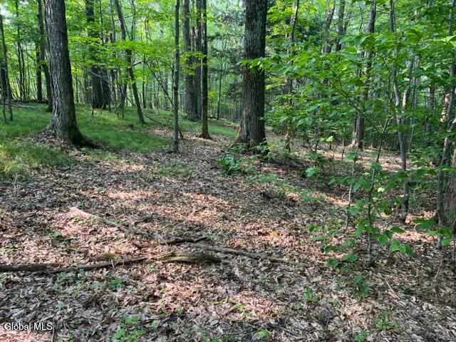 L12 Donlan Heights Road Middleburgh, NY 12122 - Photo 18 of 30 IMG_4508