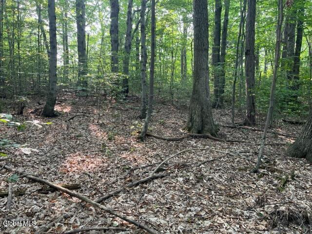 L12 Donlan Heights Road Middleburgh, NY 12122 - Photo 19 of 30 IMG_4507