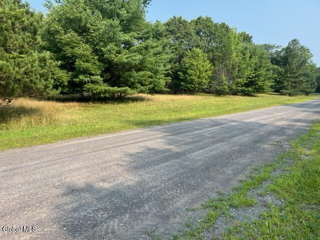 L12 Donlan Heights Road Middleburgh, NY 12122 - Photo 23 of 30 IMG_4520