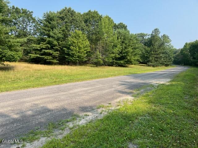 L12 Donlan Heights Road Middleburgh, NY 12122 - Photo 24 of 30 IMG_4519