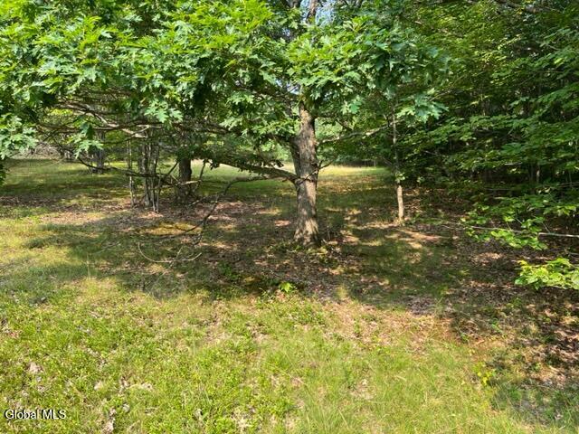 L12 Donlan Heights Road Middleburgh, NY 12122 - Photo 27 of 30 IMG_4516