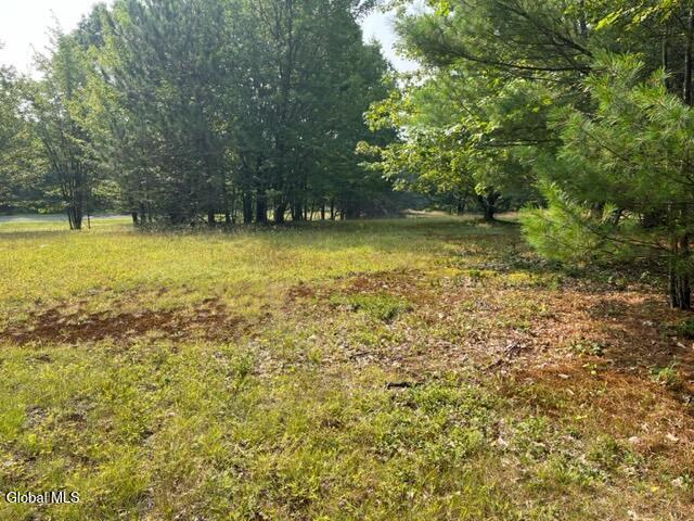 L12 Donlan Heights Road Middleburgh, NY 12122 - Photo 28 of 30 IMG_4514