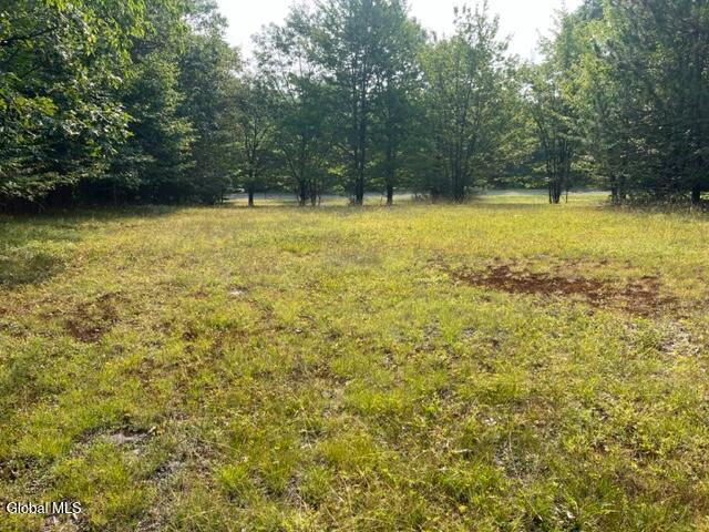 L12 Donlan Heights Road Middleburgh, NY 12122 - Photo 29 of 30 IMG_4513