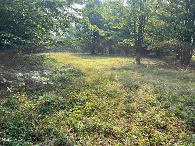 L12 Donlan Heights Road Middleburgh, NY 12122 - Photo 4 of 30 IMG_4512