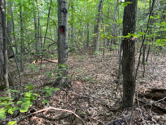 L12 Donlan Heights Road Middleburgh, NY 12122 - Photo 5 of 30 IMG_4503