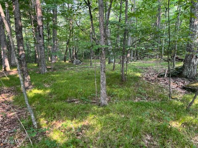 L12 Donlan Heights Road Middleburgh, NY 12122 - Photo 7 of 30 IMG_4501