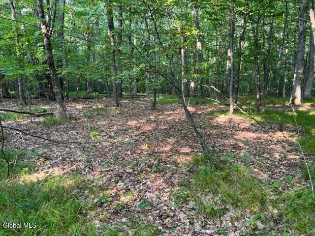 L12 Donlan Heights Road Middleburgh, NY 12122 - Photo 9 of 30 IMG_4499