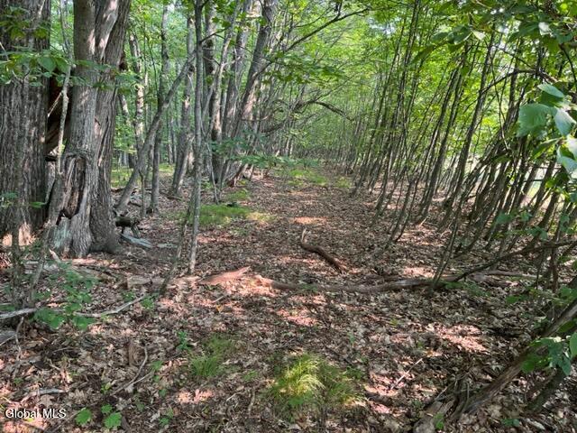 L12 Donlan Heights Road Middleburgh, NY 12122 - Photo 10 of 30 IMG_4498