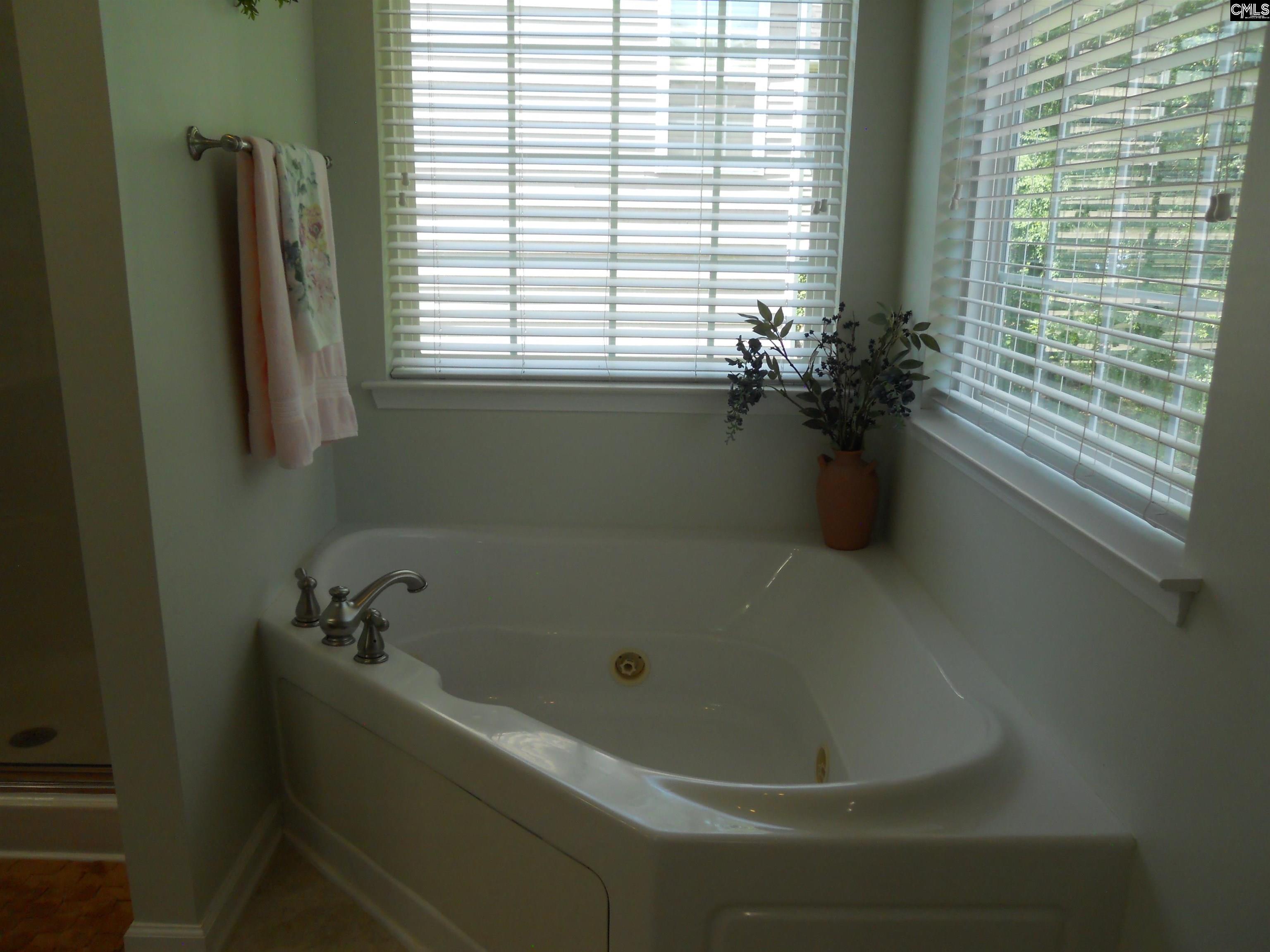 36 Ash Court Irmo, SC 29063 - Photo 47 of 72