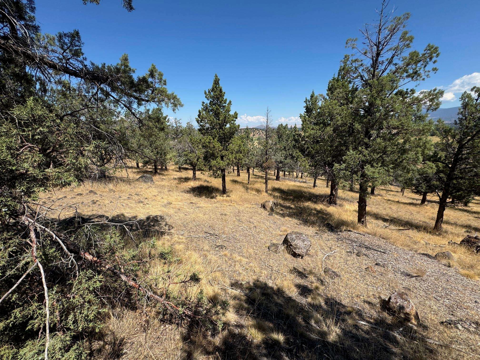 9-1 Unit Road Weed, CA 96094 - Photo 9 of 42 Gallery Image 9