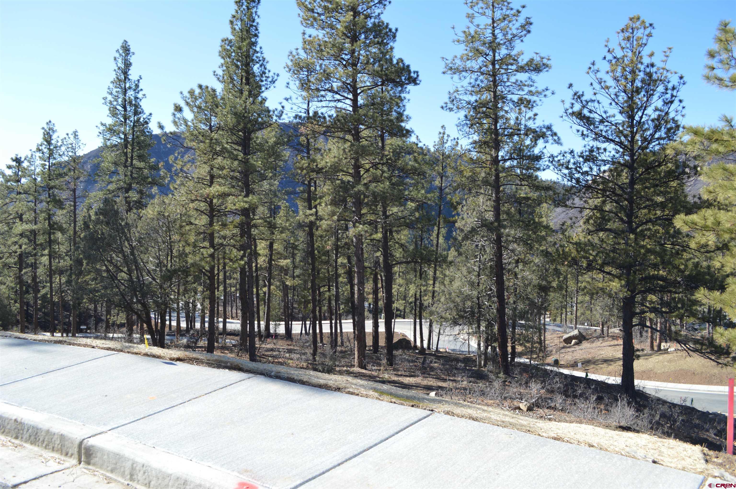 53 Snowdrop Court Durango, CO 81301 - Photo 11 of 30 a view of a park with trees