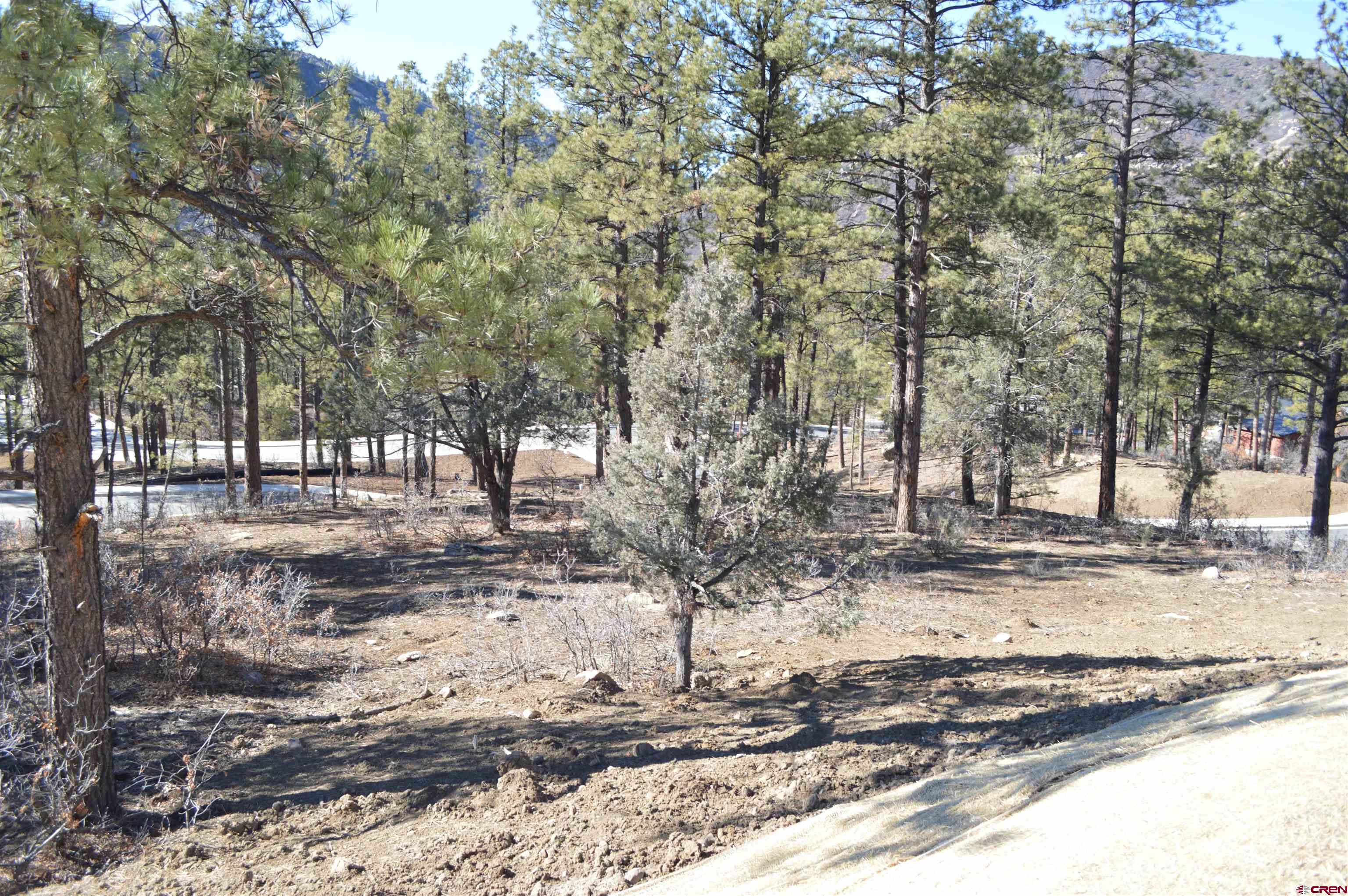 53 Snowdrop Court Durango, CO 81301 - Photo 3 of 30 a view of a yard with trees