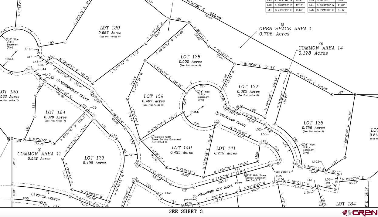 53 Snowdrop Court Durango, CO 81301 - Photo 4 of 15