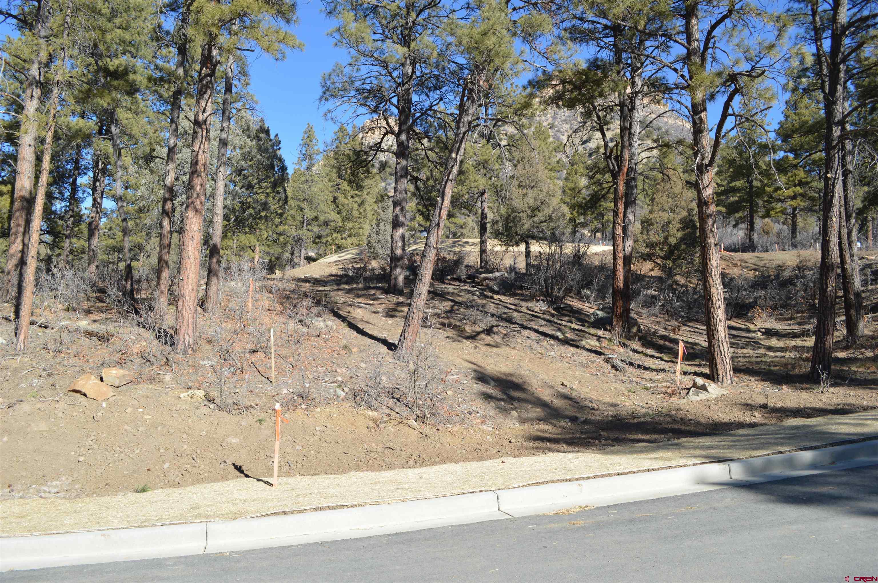 53 Snowdrop Court Durango, CO 81301 - Photo 4 of 30