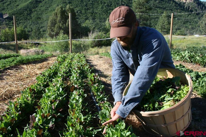 53 Snowdrop Court Durango, CO 81301 - Photo 9 of 15