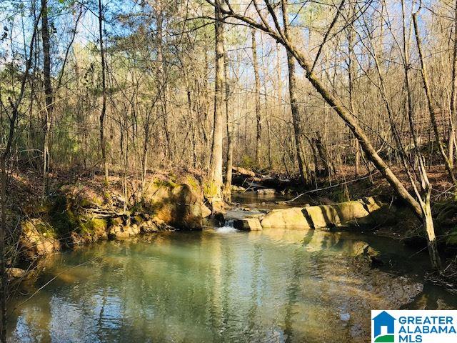 3111 Jackson Road, Unit 75 ACRES Pinson, AL 35126 - Photo 15 of 16