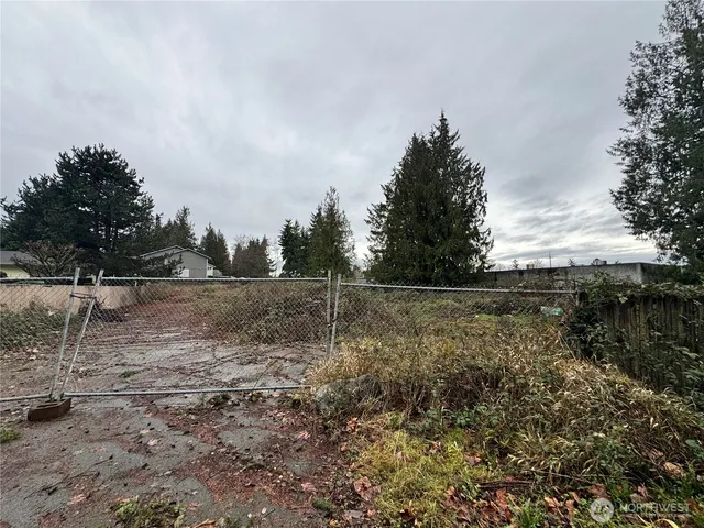 a view of a dry yard