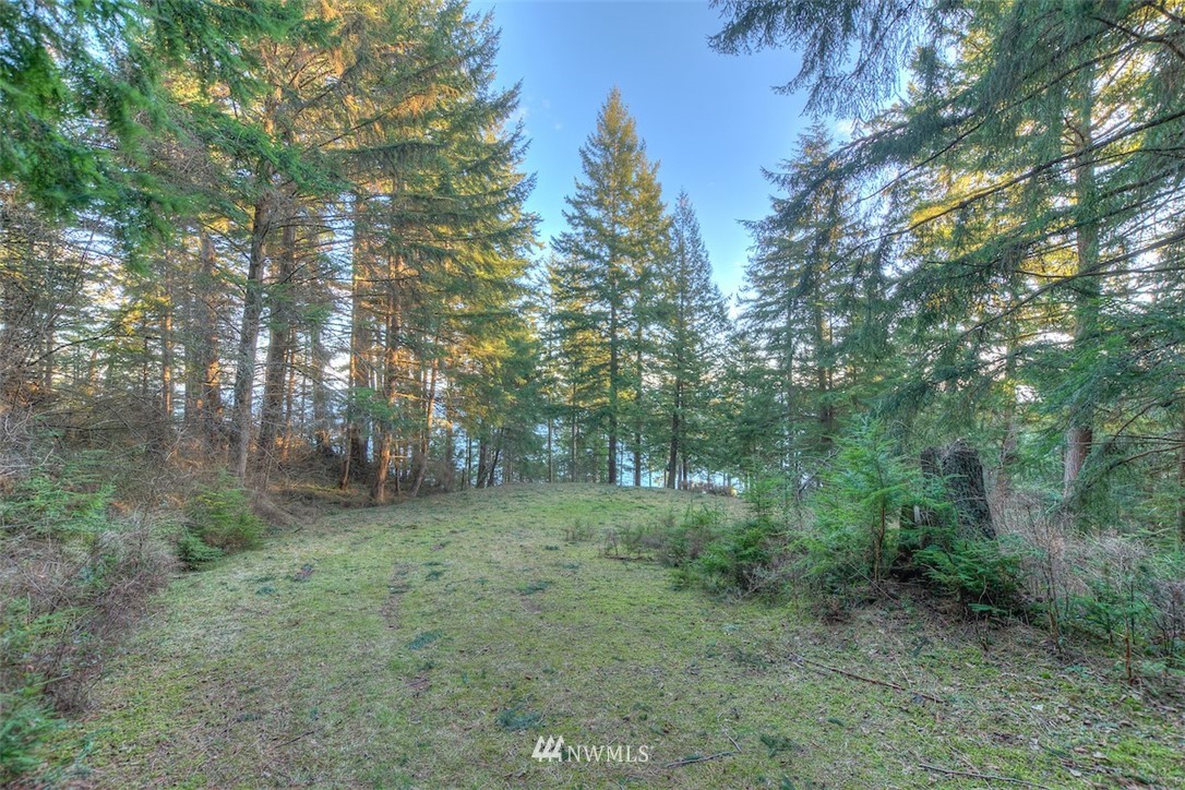 1515 Raccoon Point Road Orcas Island, WA 98245 - Photo 2 of 25 Gallery Image 2