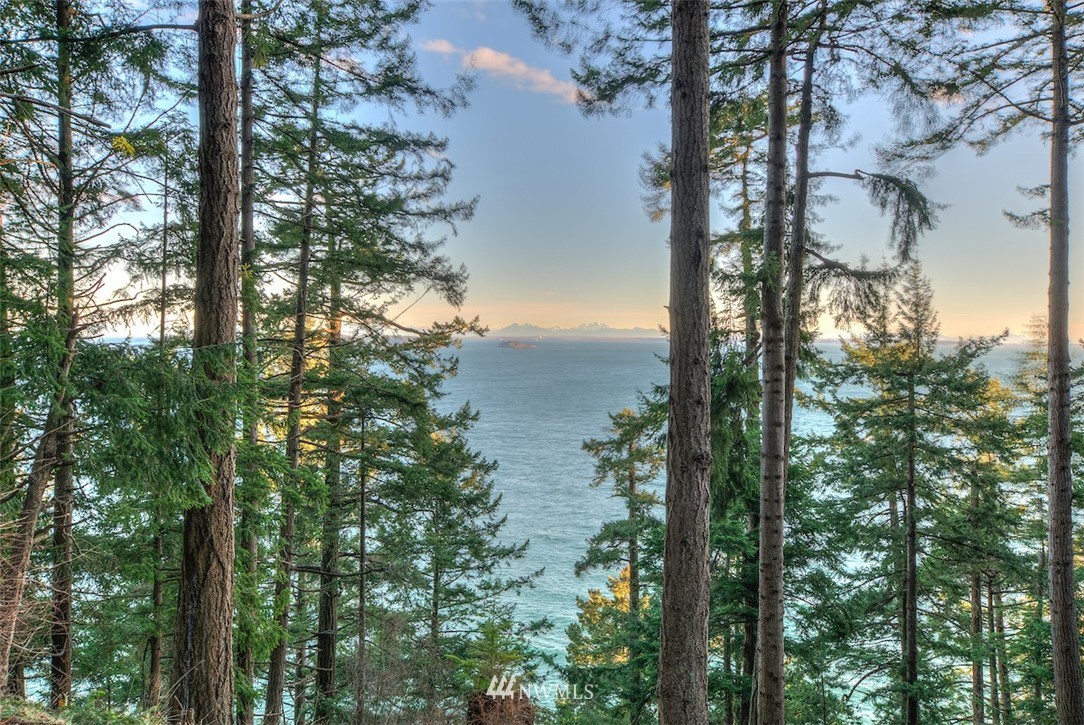 1515 Raccoon Point Road Orcas Island, WA 98245 - Photo 11 of 25 Gallery Image 11