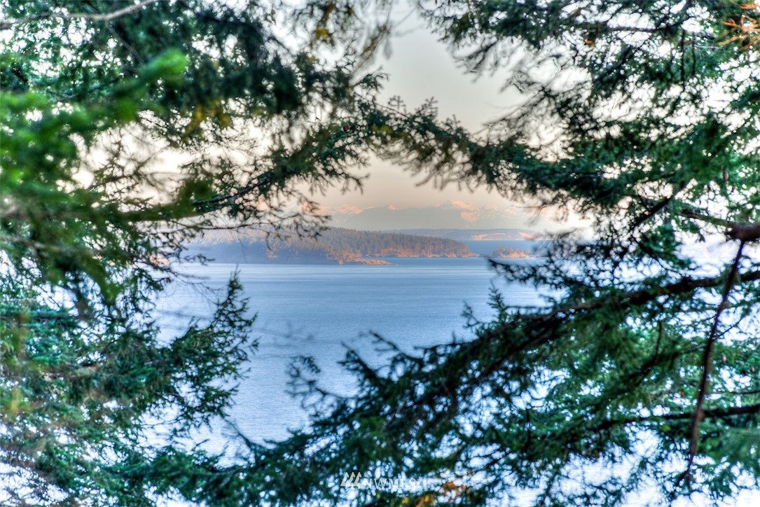 1515 Raccoon Point Road Orcas Island, WA 98245 - Photo 13 of 25 Gallery Image 13