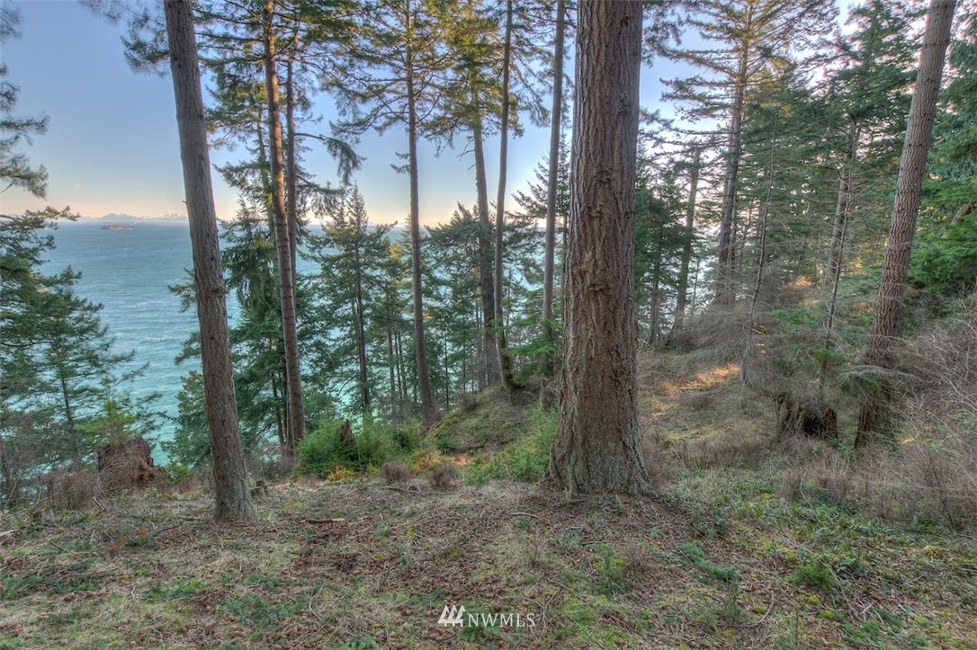 1515 Raccoon Point Road Orcas Island, WA 98245 - Photo 15 of 25 Gallery Image 15