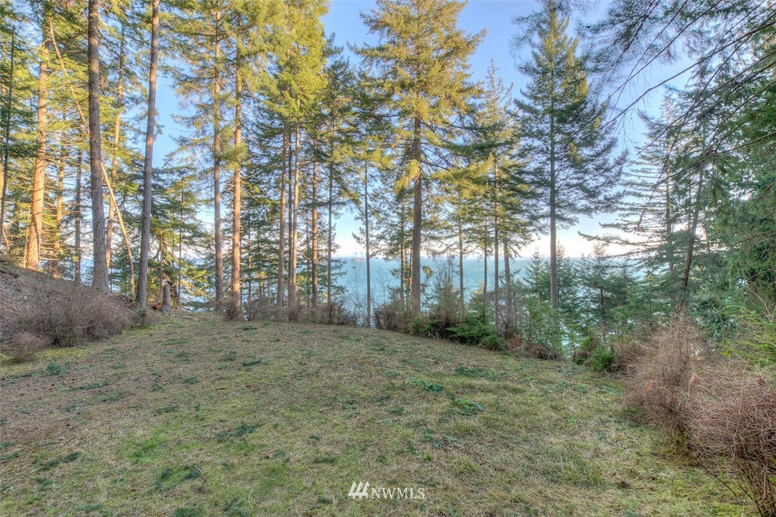 1515 Raccoon Point Road Orcas Island, WA 98245 - Photo 17 of 25 Gallery Image 17