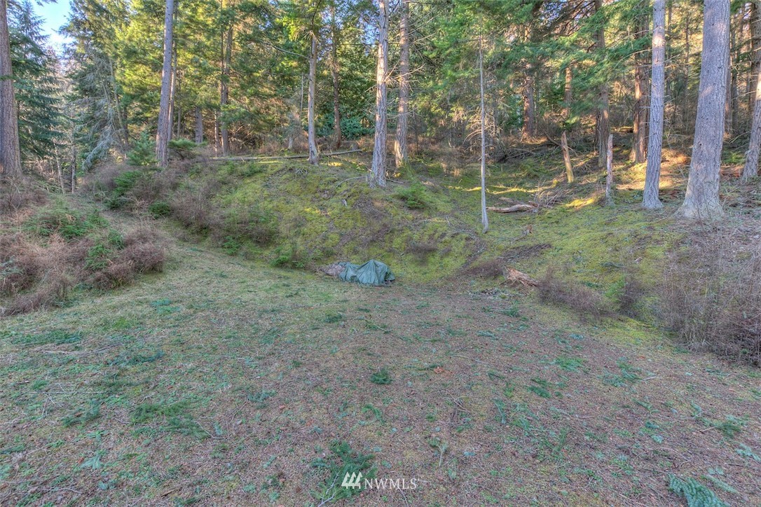 1515 Raccoon Point Road Orcas Island, WA 98245 - Photo 18 of 25 Gallery Image 18
