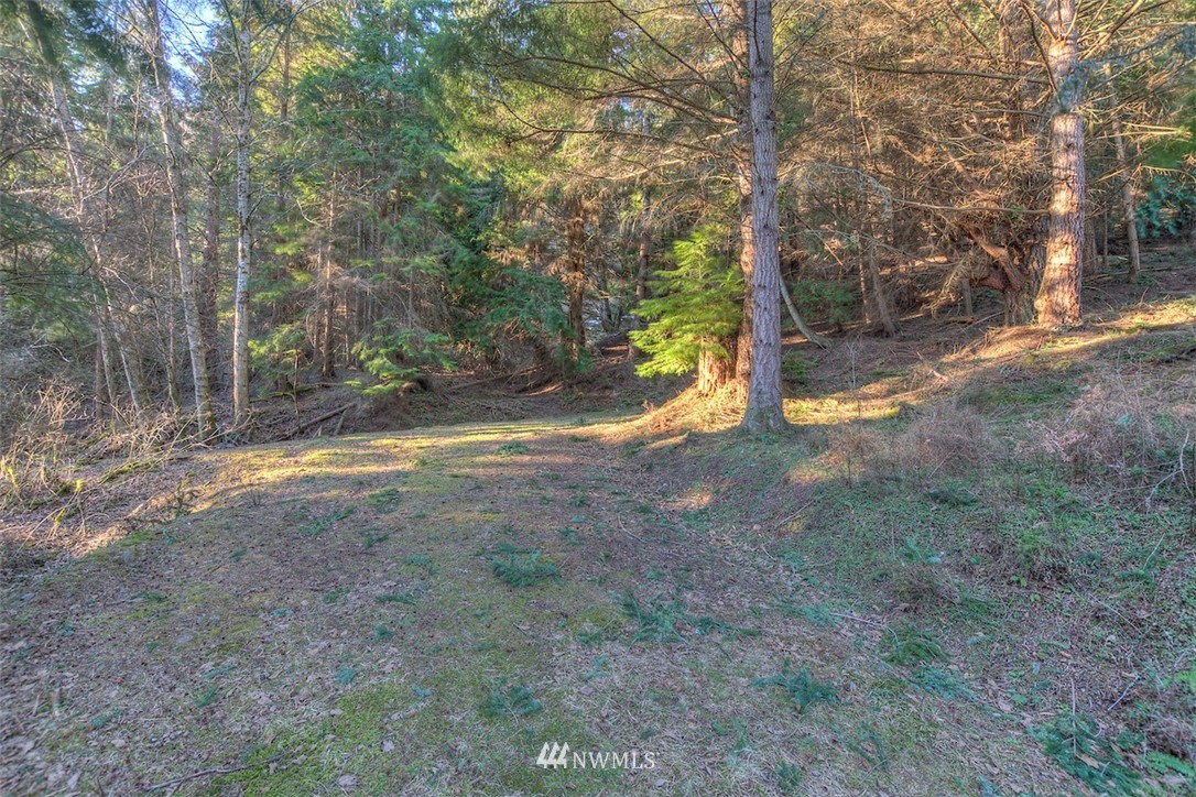 1515 Raccoon Point Road Orcas Island, WA 98245 - Photo 19 of 25 Gallery Image 19