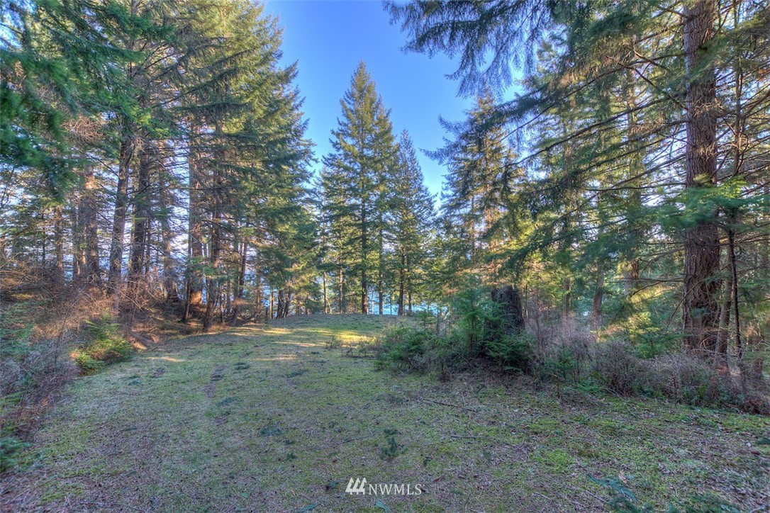 1515 Raccoon Point Road Orcas Island, WA 98245 - Photo 20 of 25 Gallery Image 20