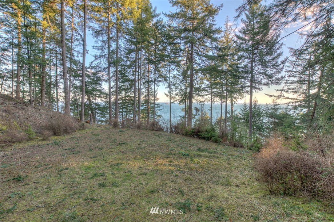 1515 Raccoon Point Road Orcas Island, WA 98245 - Photo 3 of 25 Gallery Image 3