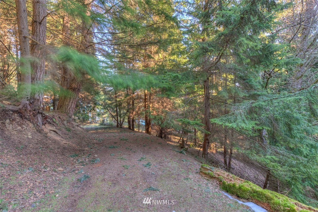 1515 Raccoon Point Road Orcas Island, WA 98245 - Photo 21 of 25 Gallery Image 21