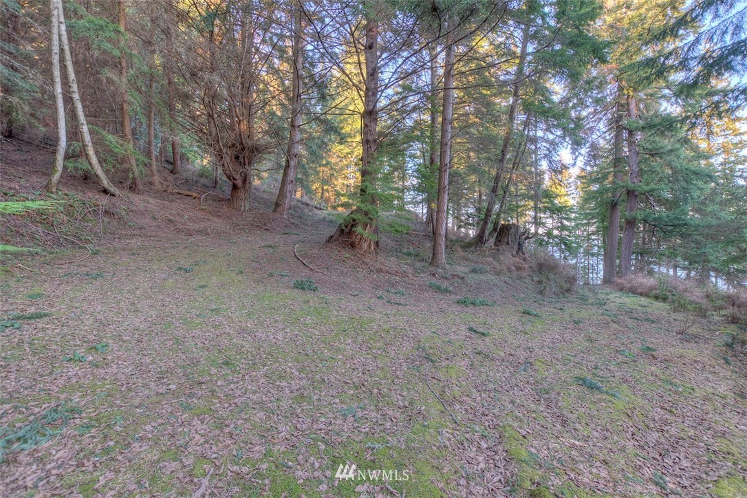 1515 Raccoon Point Road Orcas Island, WA 98245 - Photo 23 of 25 Gallery Image 23