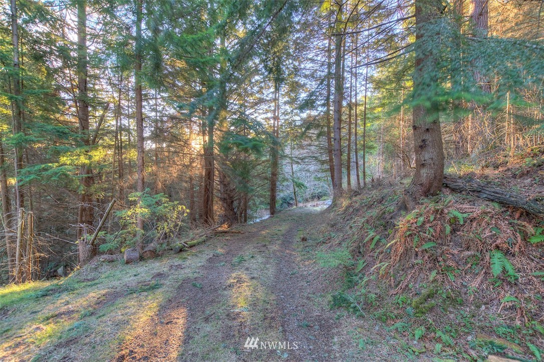1515 Raccoon Point Road Orcas Island, WA 98245 - Photo 4 of 25 Gallery Image 4