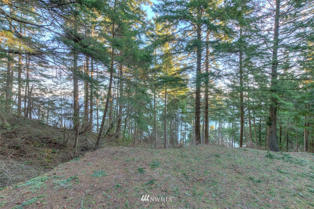 1515 Raccoon Point Road Orcas Island, WA 98245 - Photo 6 of 25 Gallery Image 6