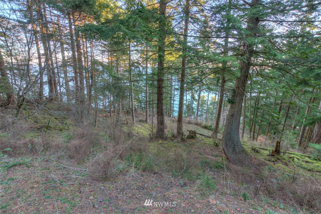 1515 Raccoon Point Road Orcas Island, WA 98245 - Photo 8 of 25 Gallery Image 8