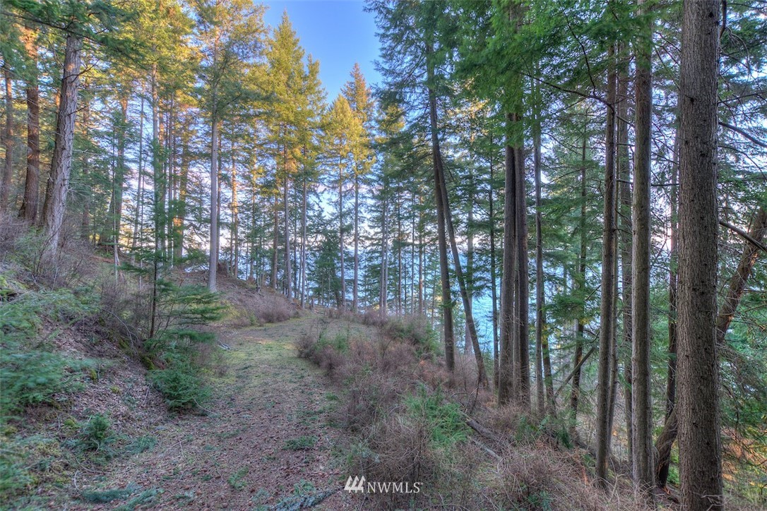 1515 Raccoon Point Road Orcas Island, WA 98245 - Photo 9 of 25 Gallery Image 9