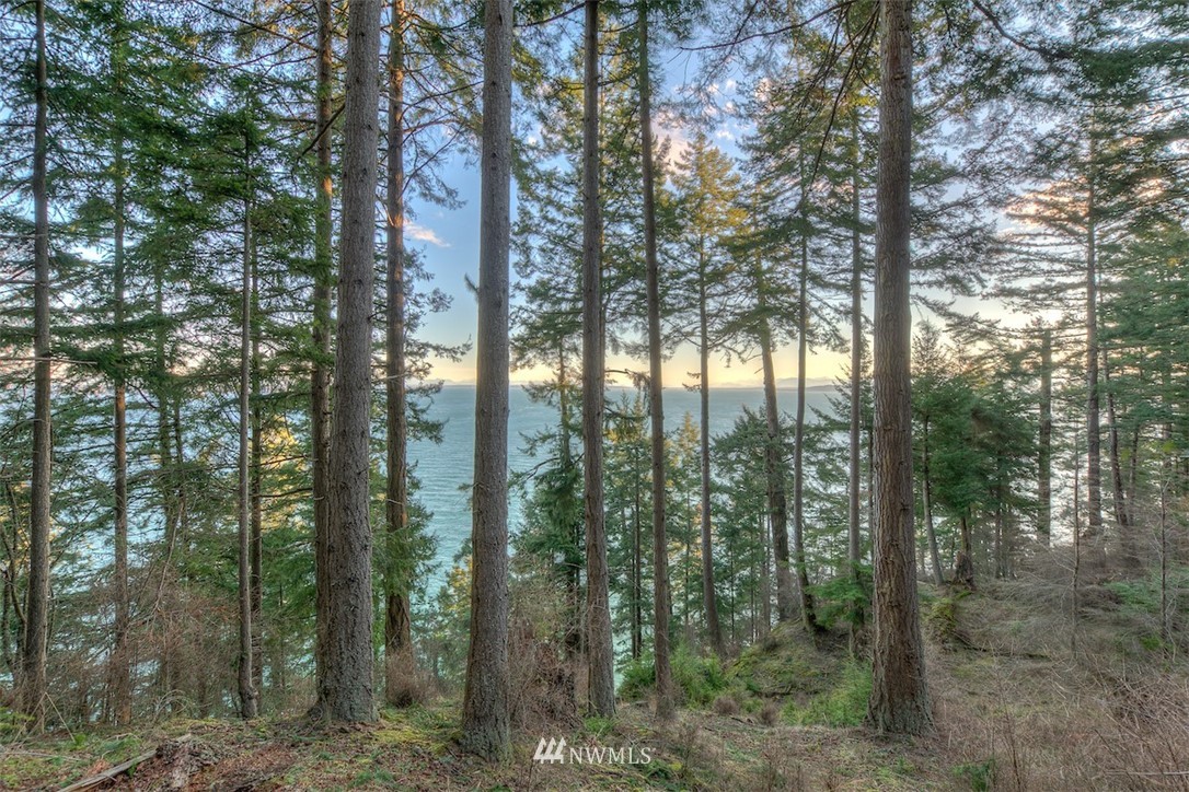 1515 Raccoon Point Road Orcas Island, WA 98245 - Photo 10 of 25 Gallery Image 10