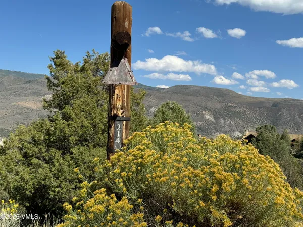a view of a mountain in the distance in a field