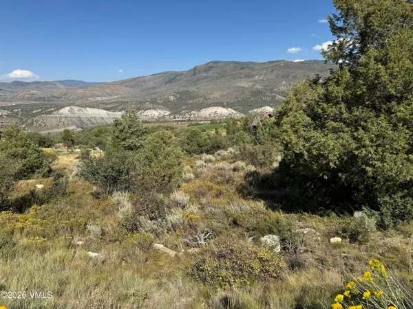 a view of a yard in a city