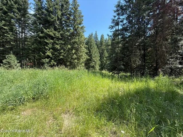 $224,900 | 467 Dusty Lane, St. Maries, ID 83861