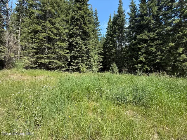 $224,900 | 467 Dusty Lane, St. Maries, ID 83861