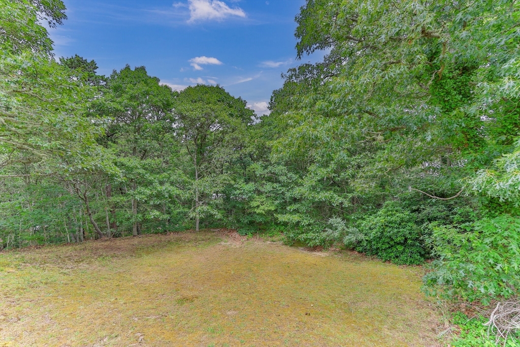 11 Oval Road Chatham, MA 02633 - Photo 27 of 35 a view of a large yard with a tree