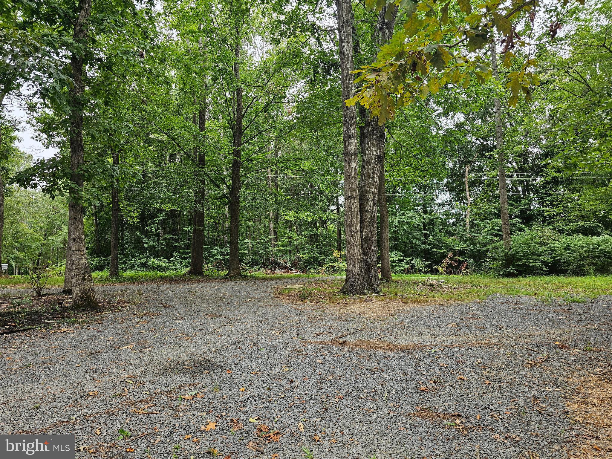 133 Meadows Road Fredericksburg, VA 22406 - Photo 49 of 55 a view of a field with trees in the background