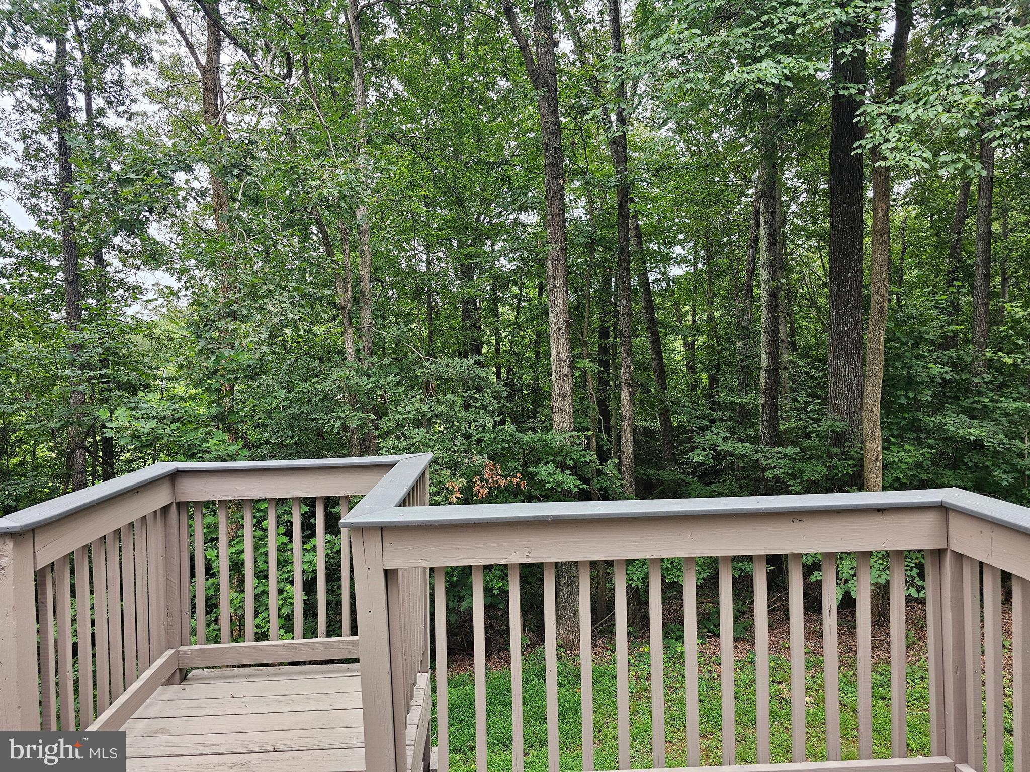 133 Meadows Road Fredericksburg, VA 22406 - Photo 51 of 55 a view of a wooden deck next to a yard