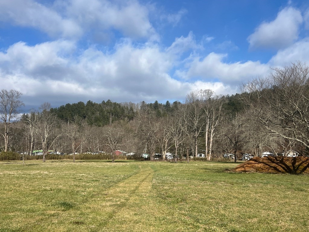 3 Riverside Meadows Hiawassee, GA 30546 - Photo 22 of 22